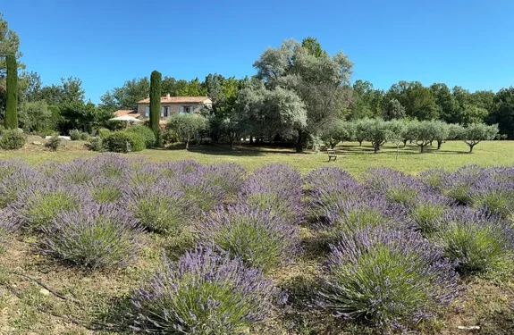 Turning your Provence property into a holiday rental: Tips for owners