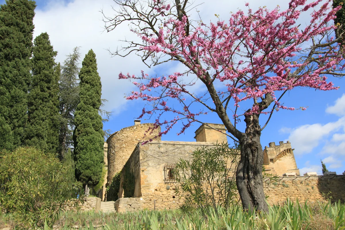 Chateau Lourmarin Provence