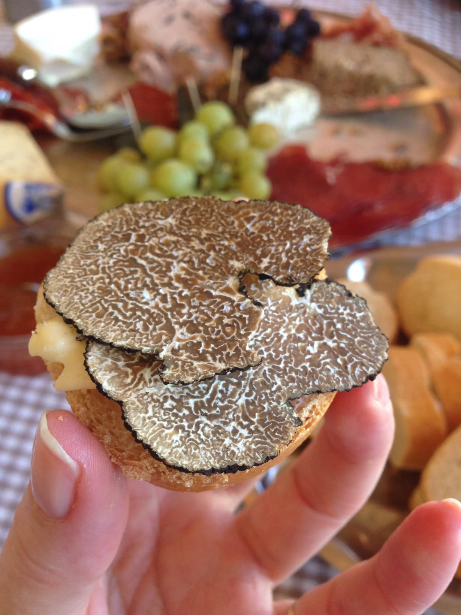 La Pastras truffles - Outdoor and cultural activities