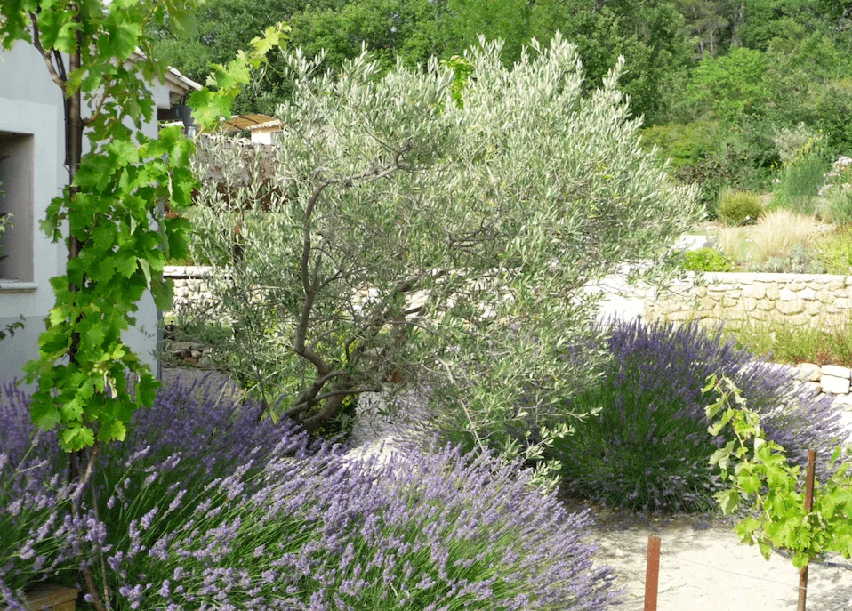 Luberon villages Provence France Rent-Our-Home rentourhomeinprovence Lourmarin Casellas