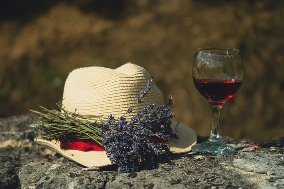 Vineyards and Wine Tastings in the Luberon