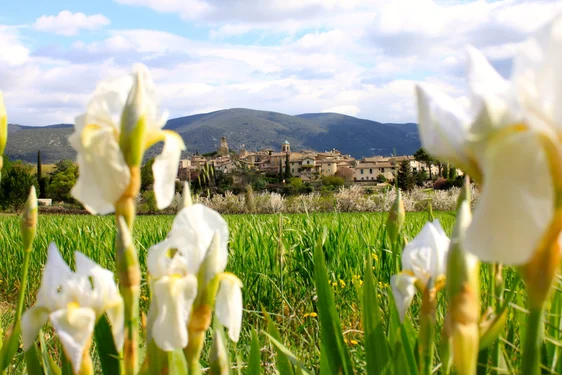 Bienvenue à Lourmarin!