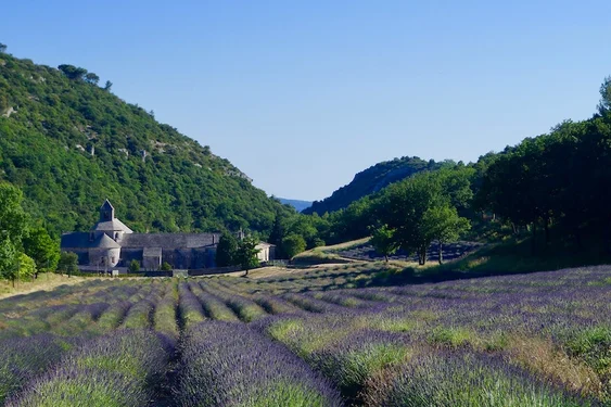 Cistercian Abbeys of Provence