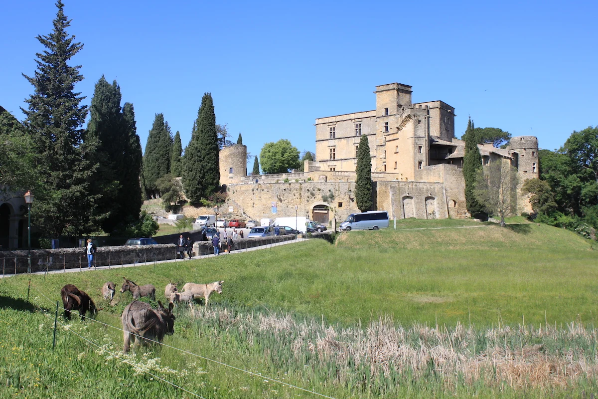 Chateau Lourmarin Provence Robert Laurent-Vibert